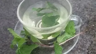 Ch&aacute; de Hortel&atilde; um sabor agrad&aacute;vel ( vida real)