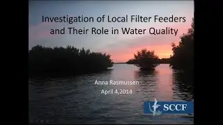 Investigation of Local Filter Feeders and Their Role in Water Quality