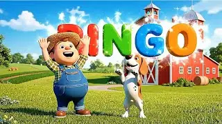 Bingo dog