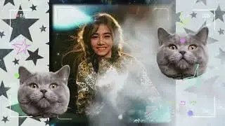 🌘📖🌘 Chad&rsquo;s Notes &mdash; An Exotic Shorthair cat who sees everything without a sound🌘📖🌘