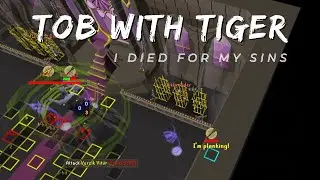 Learn ToB with Tiger: 0 KC Mentor Raid [ToB Guide]