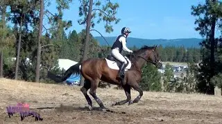Becky Staden; Spokane Sport Horse Farm HT; September 2024