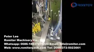 Automatic Ring Spring Clothespin Assembling Machine