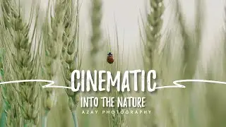 Into the nature - Epic Cinematic Video by Azay Photography | Adventure | Sony A7c