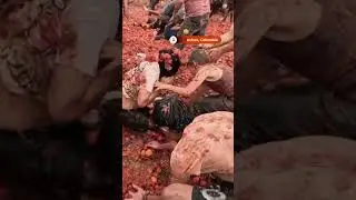 Thousands participate in tomato fight