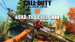 GOING FLAWLESS | ROAD TO LEVEL 1000 | BO4