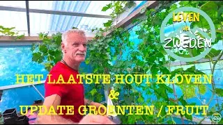 LEVEN IN ZWEDEN het laatste hout kloven & update groenten en fruit