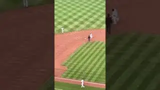 Pujols Home Run #695 vs Cubs! Curtain Call