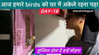 D19E2 आज हम ऋषभ के स्कूल गये और फिर dmart | we visited our kids school #chandravlogsuk  