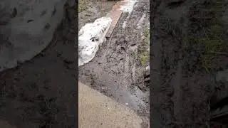 Nobody wants dry mud...