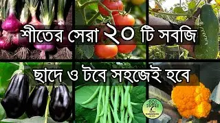 টবে করার মত শীতের সেরা ২০ টি সবজি / Best 20 winter vegetables easy to grow in pot / roof gardening