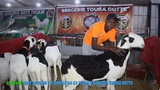 Thies - Foire des &eacute;leveurs du REIT : Tour d'horizon au box Touba Gotte