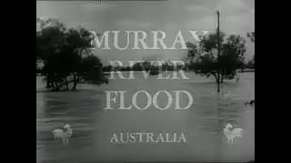 Murray River Flood - Australia 1956
