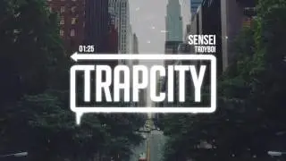 TroyBoi - Sensei