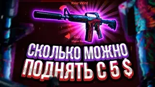 ЧТО МОЖНО СДЕЛАТЬ С 5 ДОЛЛАРОВ НА САЙТЕ HOTPIZZA\GG!?