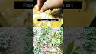 🥱मैगी और अंडा के साथ,कुकिंग🍲 #cooking #experiment #hindisong #funny #song #food #comedy #trending 😳😆