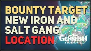 Bounty Target New Iron and Salt Gang Smugglers Location Genshin Impact