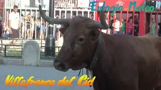 2022 06 04 VILLAFRANCA DEL CID EULOGIO MATEO