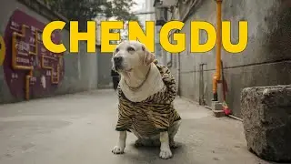 How I&rsquo;d Spend 72 Hours in Chengdu, China