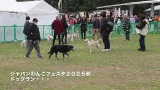 ジャパンわんこフェスタ２０２５秋inお台場