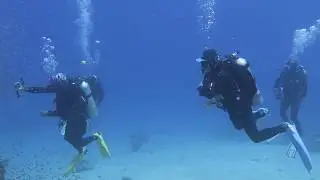 Scuba Diving in Dahab August 2017