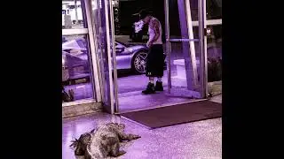 [FREE FOR PROFIT] Yeat Lyfestyle Type Beat - Flight