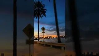 Those night drives in Miami 😍#miami #miamibeach #sunset #sunsetview #sunsets #sunsetlovers #driving