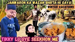 Janwaron Ka Wazan Bharta Hi Gaya | MA AGARIA FARM