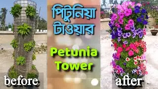 Petunia flower tower | পিটুনিয়া টাওয়ার | DIY flower tower | total information with cost
