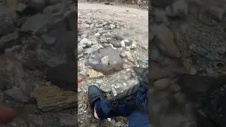 Most Dangerous Road In India #spitivalley #mostdangerousroad #foxsandy #automobile #foxtravels