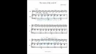 The Waves of the Coral Rif / Волны кораллового рифа