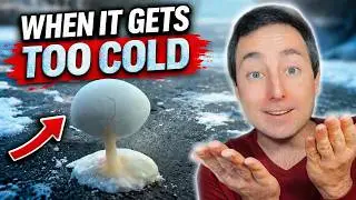 What happens when it gets TOO COLD | Taylor Nikolai