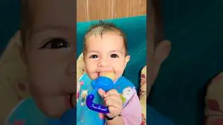 How can babies enjoy fruit safely at 5 months? Try this Baby Fruit Feeder Pacifier for safe chewing!