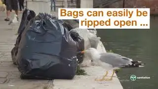 Curbside Composting Prevents Critters!