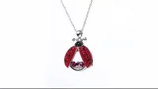 Superchic Jewelry Cute Red and Black Ladybug Beetle Locket Pendant Necklace
