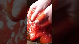 Tomato and basil sauce