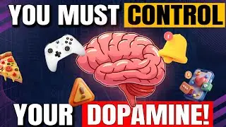Dopamine Detox: Rewire Your Brain for Peak Performance | Book Insight