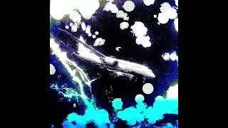 freak accident [OFFICIAL AUDIO]