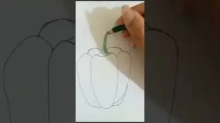 How to draw Bell pepper/ Bell pepper easy drawing #shortvideo