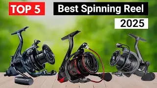 Top 5 Best Spinning Reels | Smooth, Durable & Budget-Friendly Fishing Reels On Aliexpress