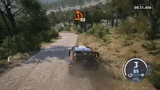 EA SPORTS WRC_4wd yumbel good time dog or pork?