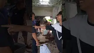 Sampah Organik Keras Sisa Panen Maggot