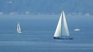 Seattle Bay Sailboats