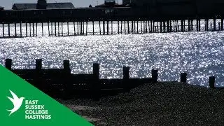 International Students Visit Hastings ||