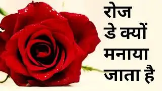 रोज डे कब और क्यों मनाया जाता है? roj de kab aur kyon manaaya jaata hai?  हैप्पी रोज डे