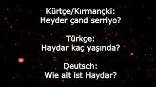 K&uuml;rt&ccedil;e, Kirmancki Zazaki &ouml;ğren KUZEY ŞİVESİ   Lerne Kurdisch Zazaki Norddialekt 16