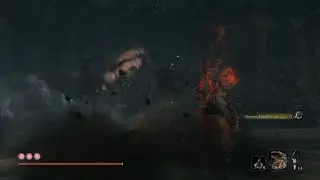 Sekiro Shadows Die Twice - Headless Ape - Fighting Two Apes at the Same Time