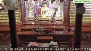 치악산국형사님의 실시간 스트림