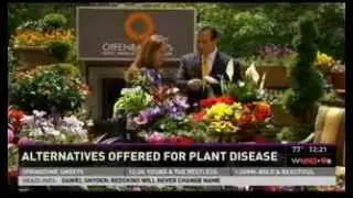 Bell Nursery shares ideas for the 