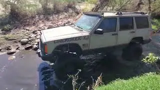 Bumble Bee AZ offroading